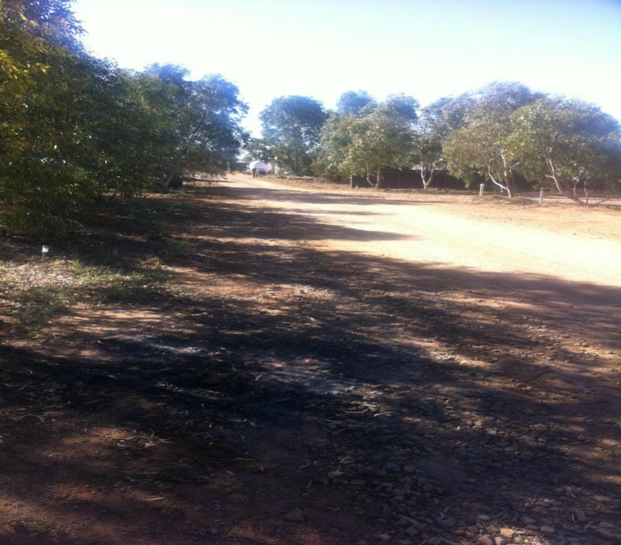 William Creek Camp Ground & Units Hotel Bagian luar foto